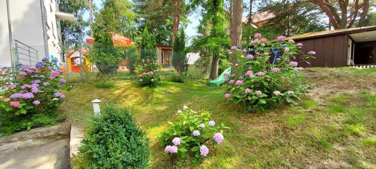 Villa Azalia Jastrzębia Góra Extérieur photo